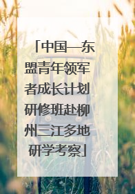 中国—东盟青年领军者成长计划研修班赴柳州三江多地研学考察